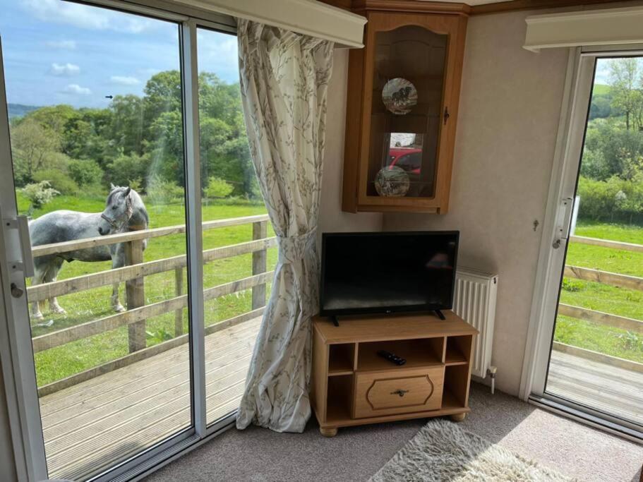 Farm Stay Caravan On Working Farm Dacre  Eksteriør billede